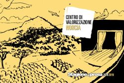 Centro di valorizzazione - Comune di Norcia