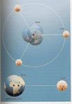 LA LUNA: IL SATELLITE DELLA TERRA