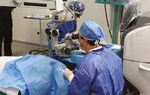 CARTA DEI SERVIZI CARTA DEI DIRITTI - IL DIRITTO ALLA SALUTE - Centro Medico ...