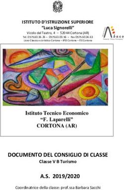 DOCUMENTO DEL CONSIGLIO DI CLASSE - IIS "Luca ...