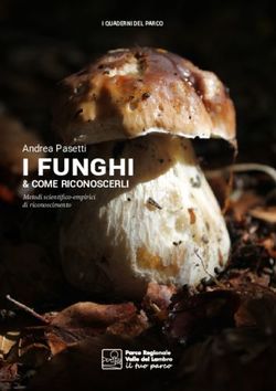I FUNGHI & COME RICONOSCERLI - Metodi scientifico-empirici di riconoscimento - Parco Valle Lambro