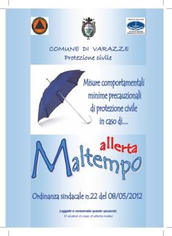 COMUNE DI VARAZZE Protezione civile