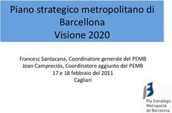 Piano strategico metropolitano di Barcellona Visione 2020