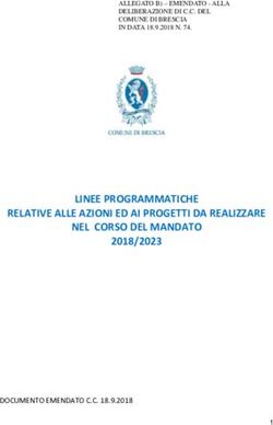 LINEE PROGRAMMATICHE RELATIVE ALLE AZIONI ED AI PROGETTI DA REALIZZARE NEL CORSO DEL MANDATO 2018/2023 - DOCUMENTO EMENDATO C.C. 18.9.2018