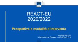 REACT-EU 2020/2022 Prospettive e modalit&agrave; d'intervento - Andrea Mancini Commissione Europea - DG REGIO G.4 - MeridianaLab