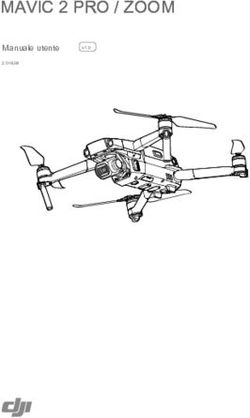 MAVIC 2 PRO / ZOOM Manuale utente - AF Drones