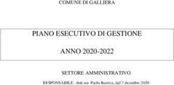 PIANO ESECUTIVO DI GESTIONE ANNO 2020-2022 - COMUNE DI GALLIERA - SETTORE AMMINISTRATIVO - Comune di ...