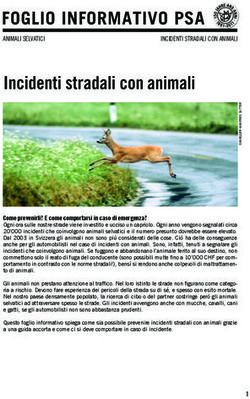 Incidenti stradali con animali