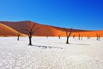 NAMIBIA 5.000 km di strade bianche miste a meraviglia - CTC