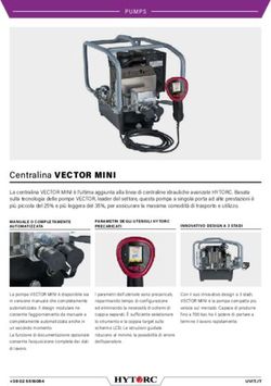 Centralina VECTOR MINI - Uvit