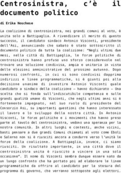 Centrosinistra, documento politico