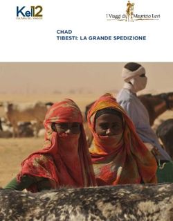 CHAD TIBESTI: LA GRANDE SPEDIZIONE - "Image:Lo gotipo" - Kel 12