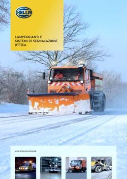 LAMPEGGIANTI E SISTEMI DI SEGNALAZIONE OTTICA - www.hella.com/municipal