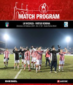LR VICENZA - VIRTUS VERONA - Domenica 16 Febbraio 2020 - Ore 17:30 - Stadio Romeo Menti