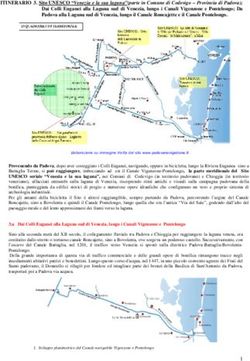ITINERARIO 3. Sito UNESCO "Venezia e la sua laguna"(parte in Comune di Codevigo - Provincia di Padova); Dai Colli Euganei alla Laguna sud di ...