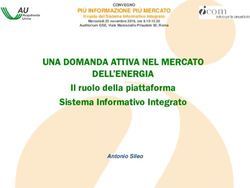 UNA DOMANDA ATTIVA NEL MERCATO DELL'ENERGIA - Il ruolo della piattaforma Sistema Informativo Integrato