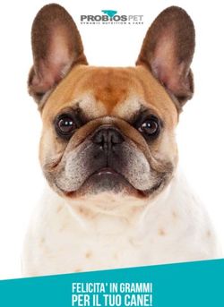 PER IL TUO CANE! FELICITA' IN GRAMMI - PET - ProbiosPet