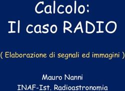 Calcolo: Il caso RADIO - ( Elaborazione di segnali ed immagini ) Mauro Nanni INAF-Ist. Radioastronomia - INDICO @ INAF