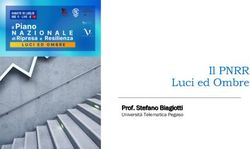 Il PNRR Luci ed Ombre - Prof. Stefano Biagiotti Universit&agrave; Telematica Pegaso - La Valdichiana