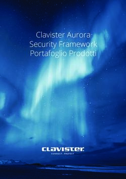Clavister Aurora Security Framework Portafoglio Prodotti - GFO Europe