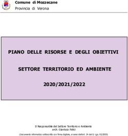 PIANO DELLE RISORSE E DEGLI OBIETTIVI SETTORE TERRITORIO ED AMBIENTE