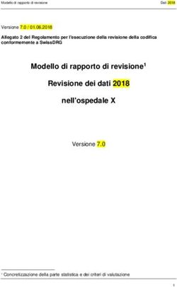 Modello di rapporto di revisione1 Revisione dei dati 2018 nell'ospedale X - SwissDRG