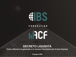 DECRETO LIQUIDIT&Agrave; Come ottenere le garanzie e le risorse finanziarie per la tua Impresa - IBS Consulting