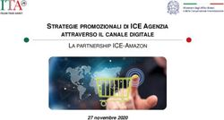 STRATEGIE PROMOZIONALI DI ICE AGENZIA ATTRAVERSO IL CANALE DIGITALE - LA PARTNERSHIP ICE-AMAZON - Assocalzaturifici
