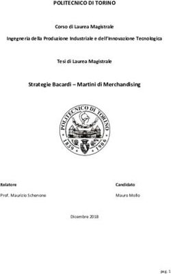 POLITECNICO DI TORINO - Webthesis