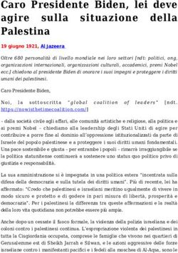 Caro Presidente Biden, lei deve agire sulla situazione della Palestina - Zeitun