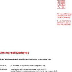 Arti marziali Mendrisio - Piano di protezione Arti marziali Mendrisio