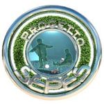 I FATTORI DI RISCHIO E LA PREVENZIONE DEGLI INCIDENTI - Manuale Operativo SEPES - DOTT.SSA SABINA CEDRI, DOTT. ALESSIO PITIDIS