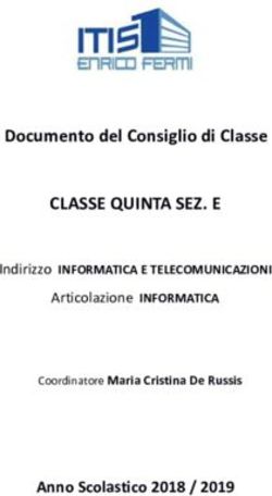CLASSE QUINTA SEZ. E Documento del Consiglio di Classe - Anno Scolastico 2018 / 2019 - ITIS Enrico Fermi