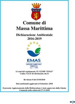 Comune di Massa Marittima - Dichiarazione Ambientale 2016-2019