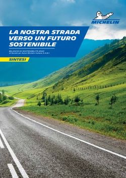 La nostra strada verso un futuro sostenibile - SINTESI