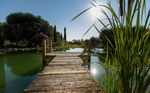 UN GIARDINO PROVENZIALE APERTO ALLA NATURA