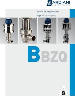 BBZQ - Valvole ad alta pressione High pressure valves