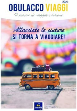 OBULACCO VIAGGI Il piacere di viaggiare insieme - Allacciate le cinture