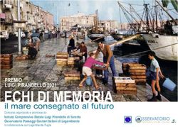 ECHI DI MEMORIA il mare consegnato al futuro - PREMIO LUIGI PIRANDELLO 2021 - Noi Notizie.