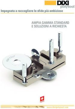AMPIA GAMMA STANDARD E SOLUZIONI A RICHIESTA - Impegnata a raccogliere le sfide pi&ugrave; ambiziose - Dixi Polytool