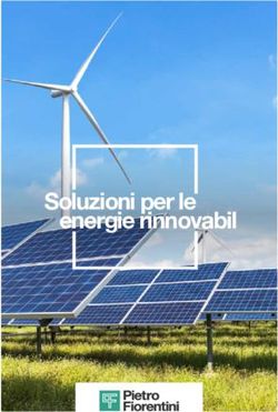 Soluzioni per le energie rinnovabili - Pietro Fiorentini