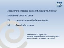 L'economia circolare degli imballaggi in plastica Evoluzione 2019 vs. 2018 La situazione a livello nazionale Il contesto veneto