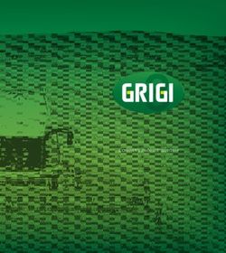 COMPANY PROFILE 2018/2019 - Gruppo Grigi