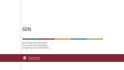 SDN Reti di Elaboratori 2017/2018 Corso di Laurea in Informatica La Sapienza, Università di Roma - UniRoma1 Twiki