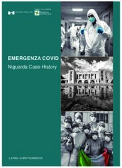 EMERGENZA COVID Niguarda Case-History - "L'ERMA" di BRETSCHNEIDER "L'ERMA" - L'Erma di Bretschneider