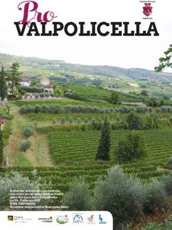 VALPOLICELLA - Valpolicella Web