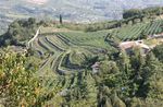 VALPOLICELLA - Valpolicella Web