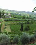 VALPOLICELLA - Valpolicella Web