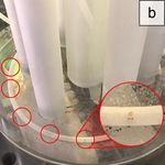 Valutazione delle cinetiche di crescita di Chlorella vulgaris su impianto pilota a luce pulsata