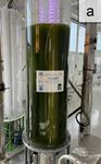 Valutazione delle cinetiche di crescita di Chlorella vulgaris su impianto pilota a luce pulsata